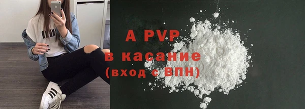 трава Белокуриха