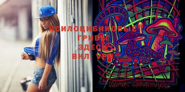 трава Белокуриха