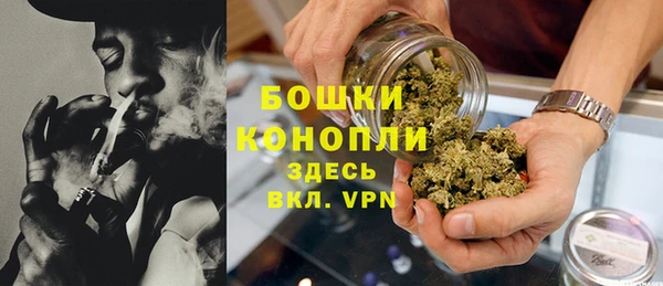 трава Белокуриха