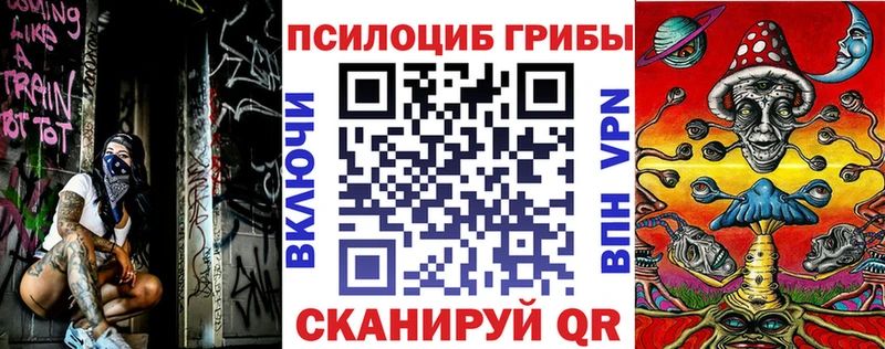 Купить закладки  Муром  Псилоцибиновые грибы Magic Shrooms 